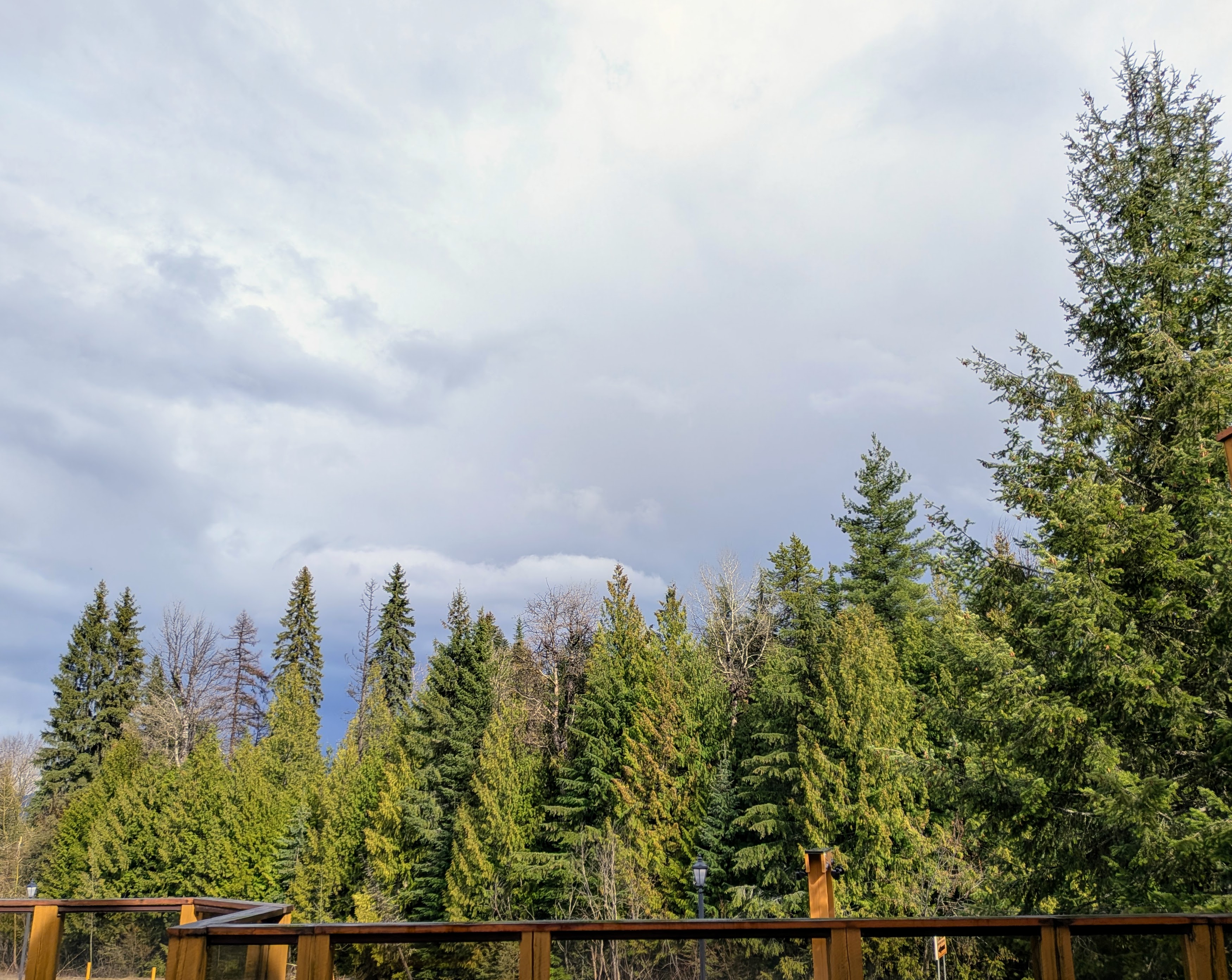 View from the deck — trees and mountain sky